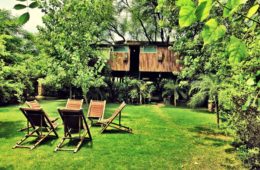 LIVE HIGH IN A TREEHO-- USE: 6 LUST WORTHY TREEHO-- USE RESORTS IN INDIA
